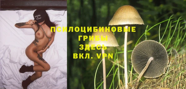 кокс Алексеевка