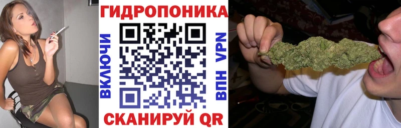 Бошки Шишки семена  дарнет шоп  Завитинск 